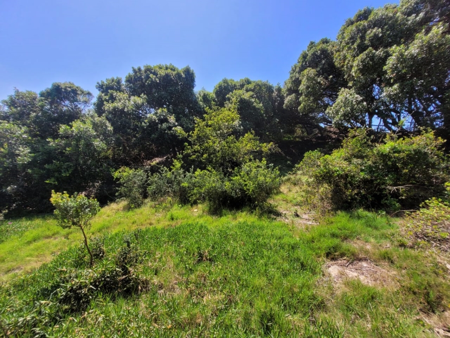 0 Bedroom Property for Sale in Paradise Beach Eastern Cape